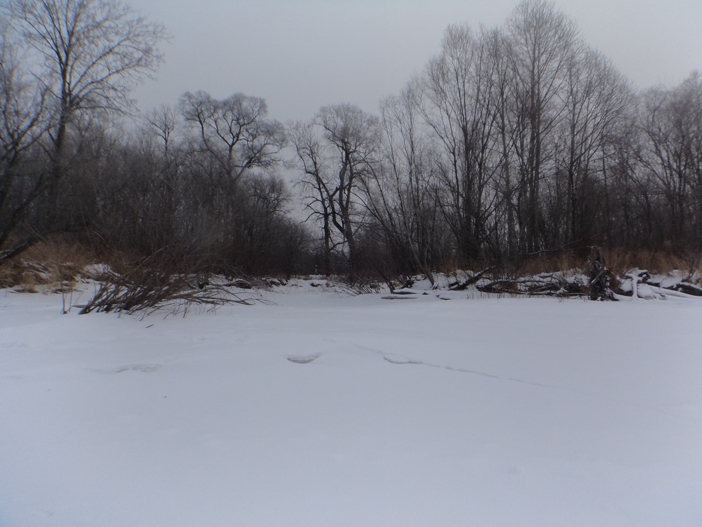DSC08238.JPG