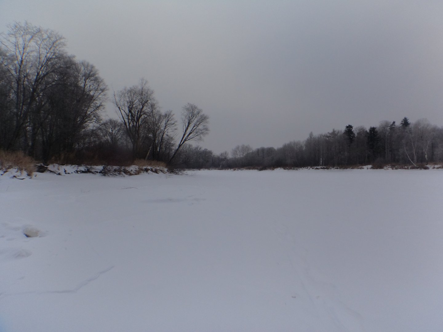 DSC08239.JPG