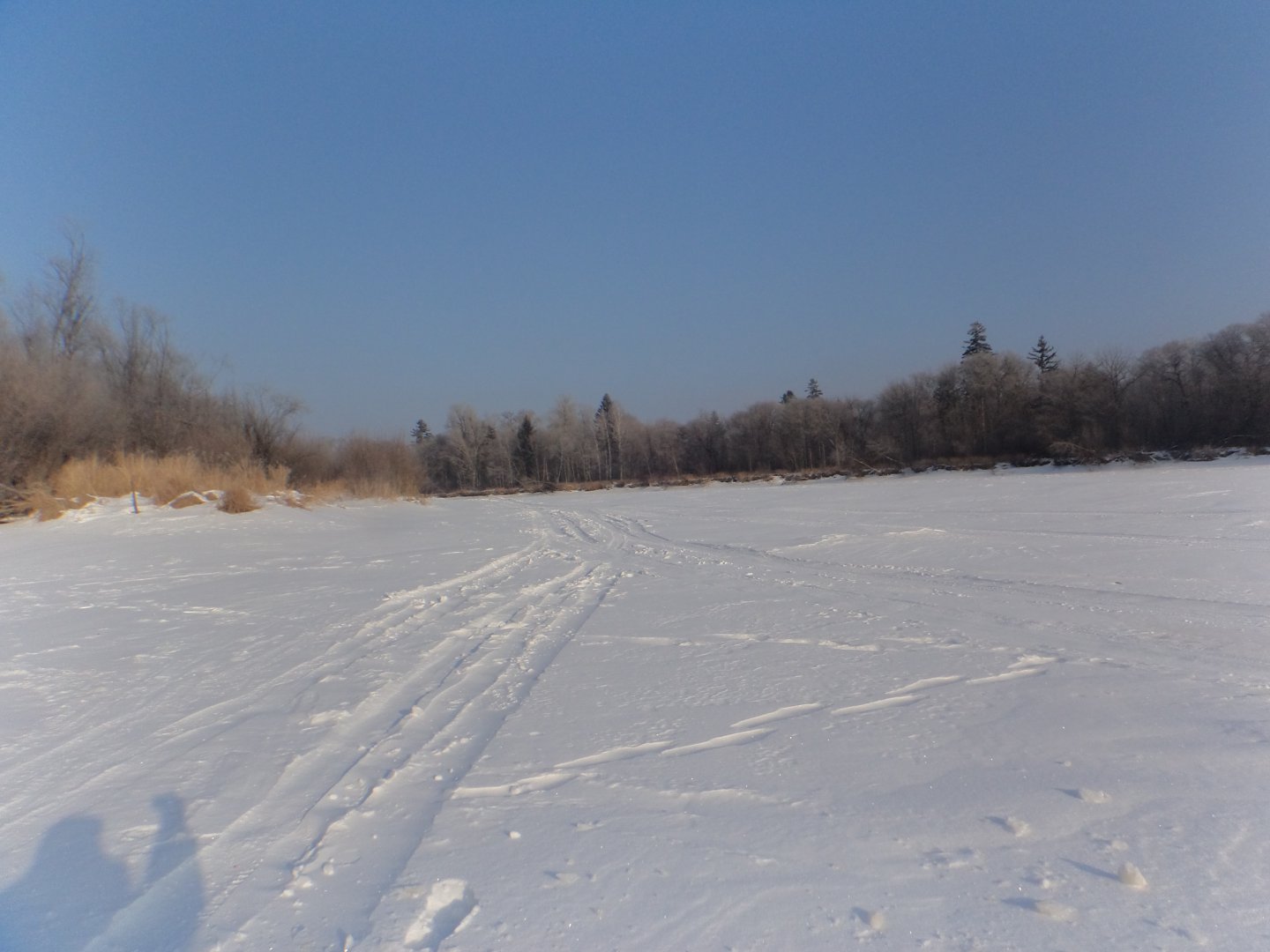 DSC08242.JPG