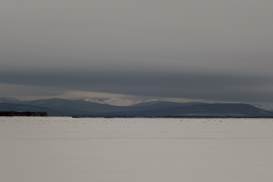 DSC08246.jpg