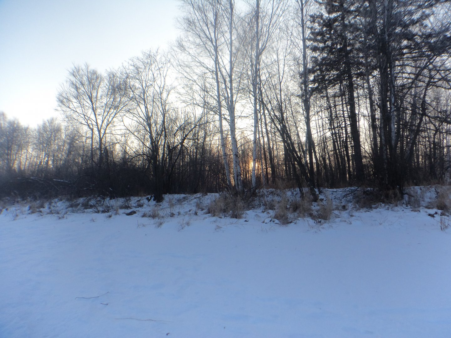 DSC08264.JPG