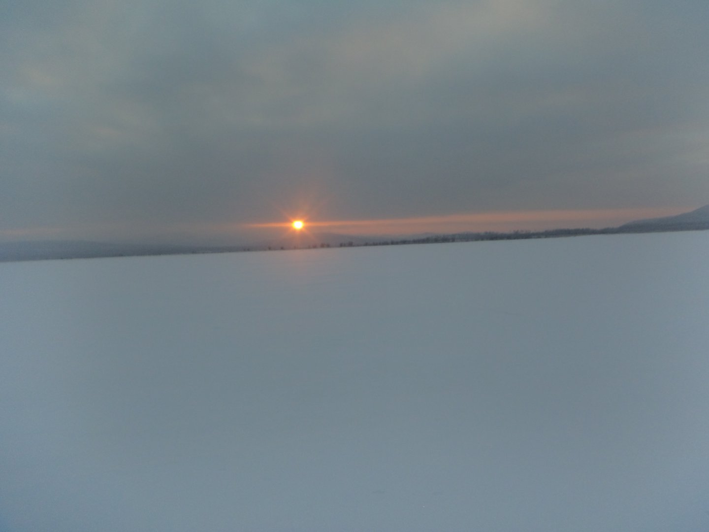 DSC08269.JPG