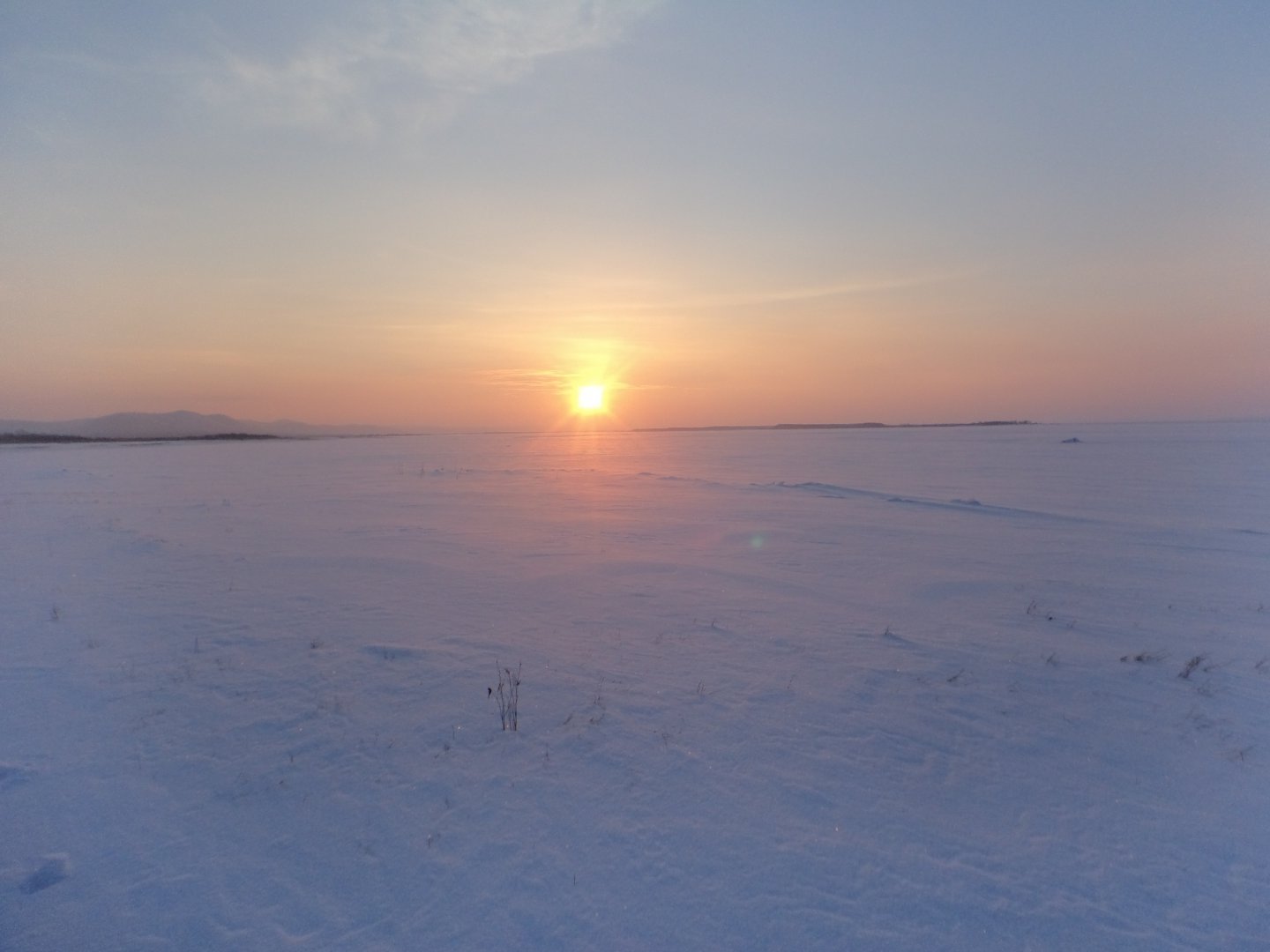 DSC08288.JPG