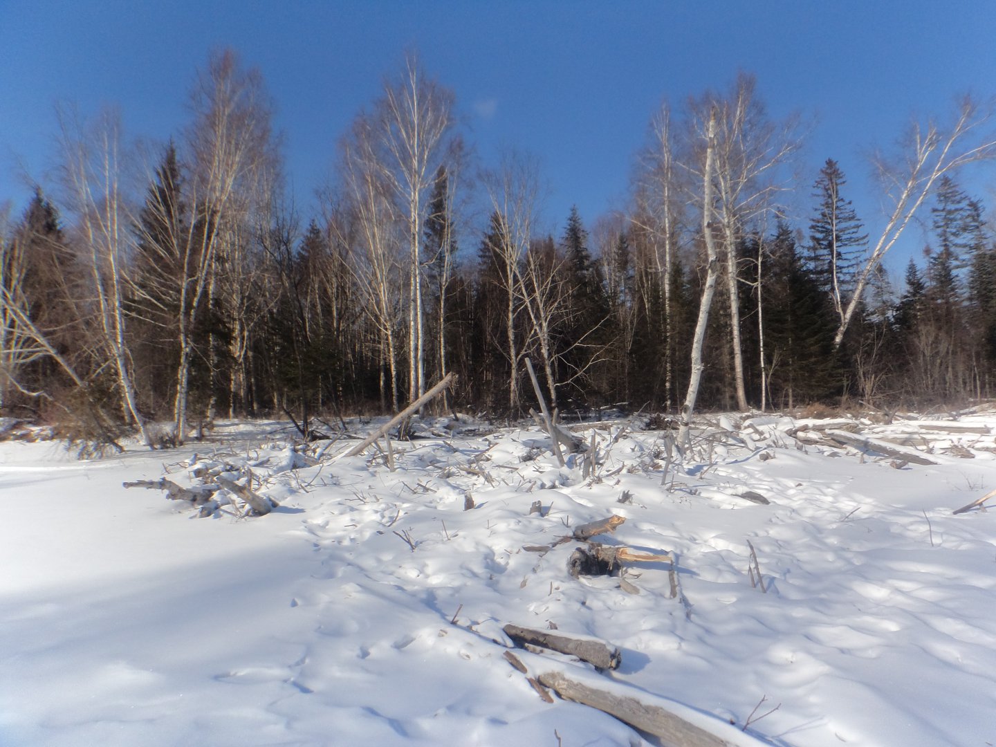 DSC08288.JPG