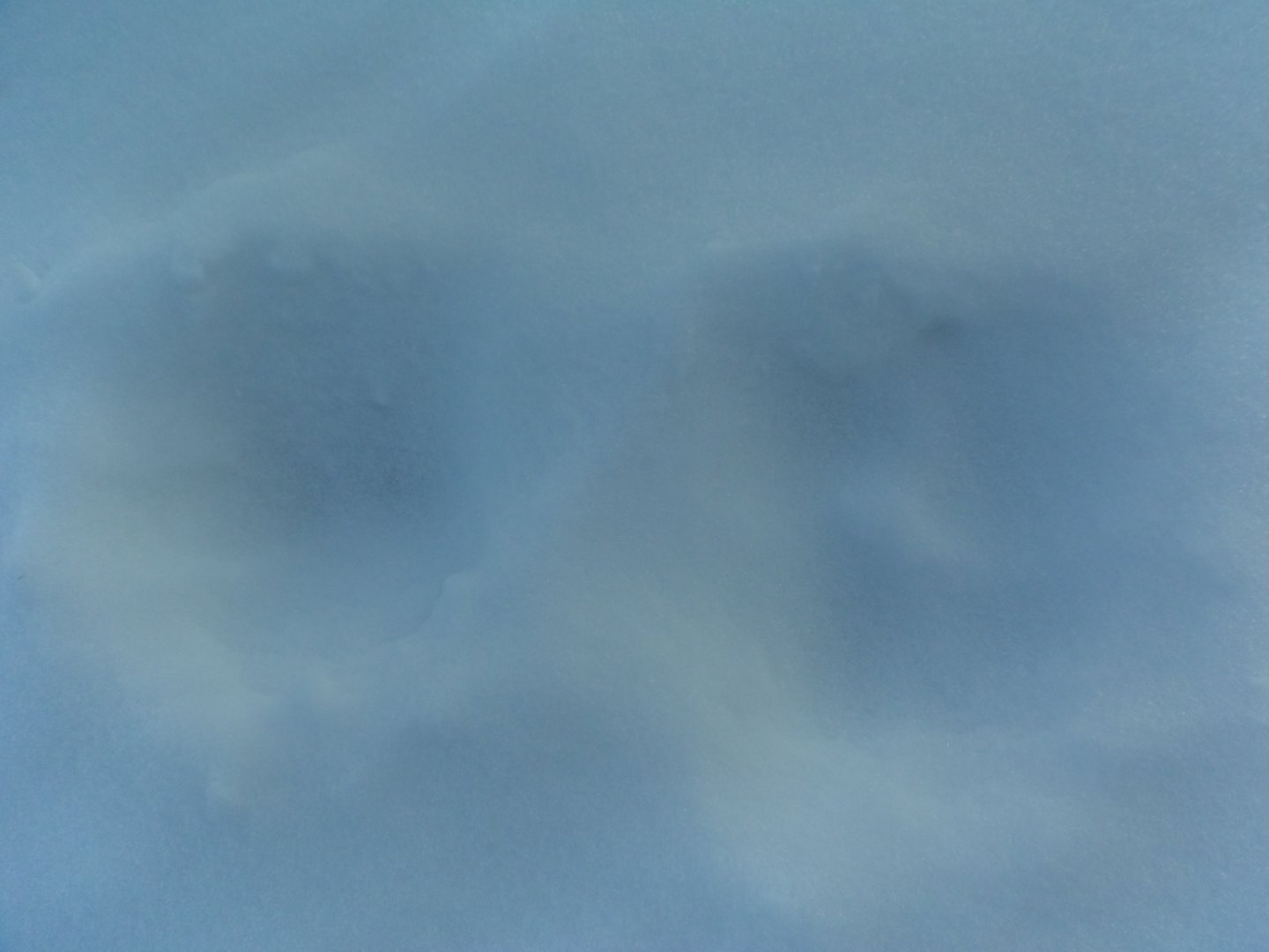 DSC08303.JPG