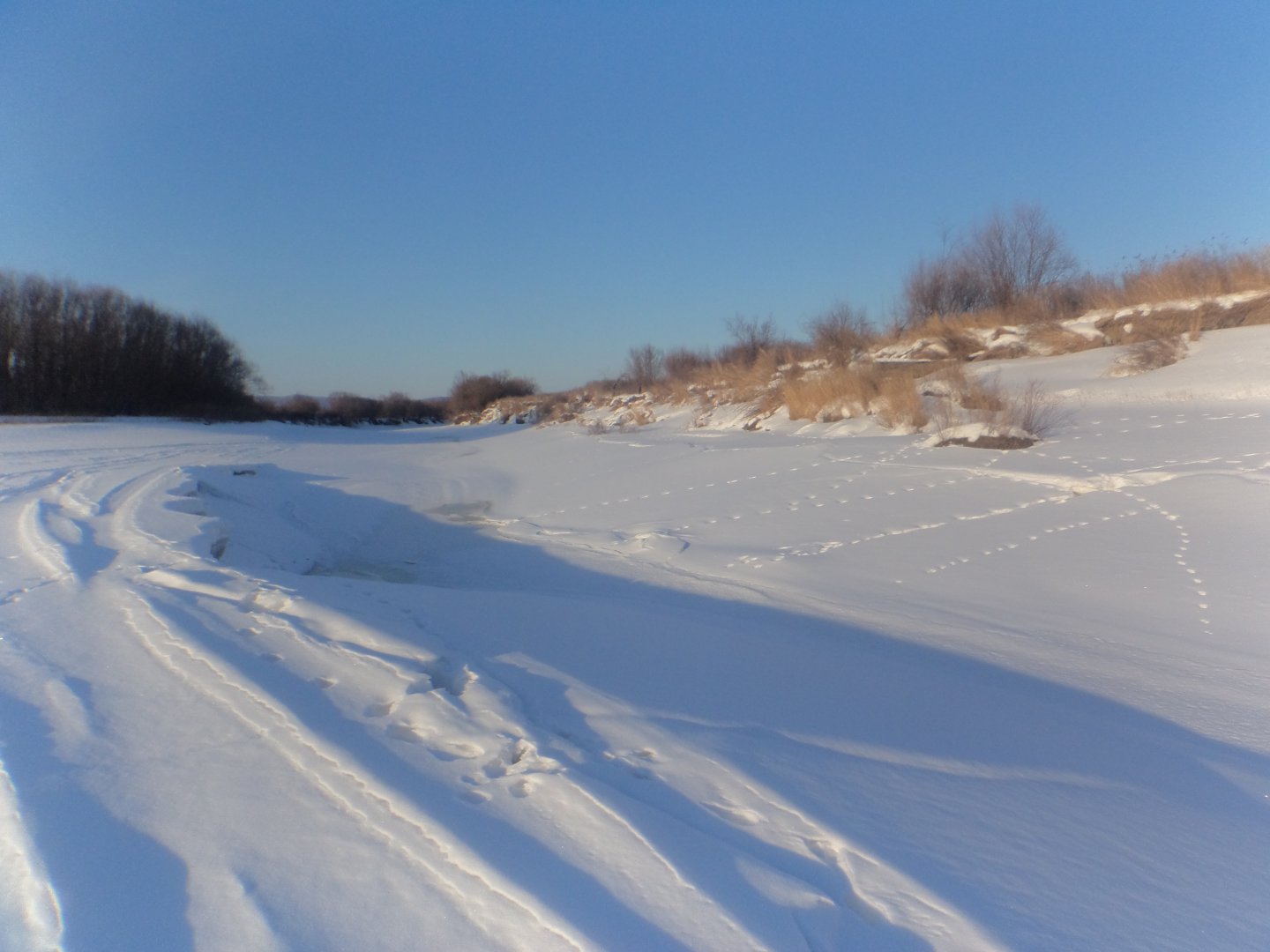 DSC08318.JPG