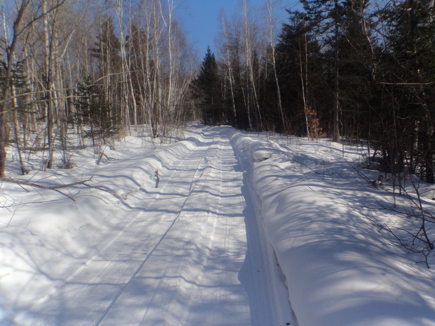 DSC08383.JPG