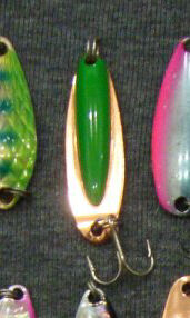 DSC08397-1.jpg