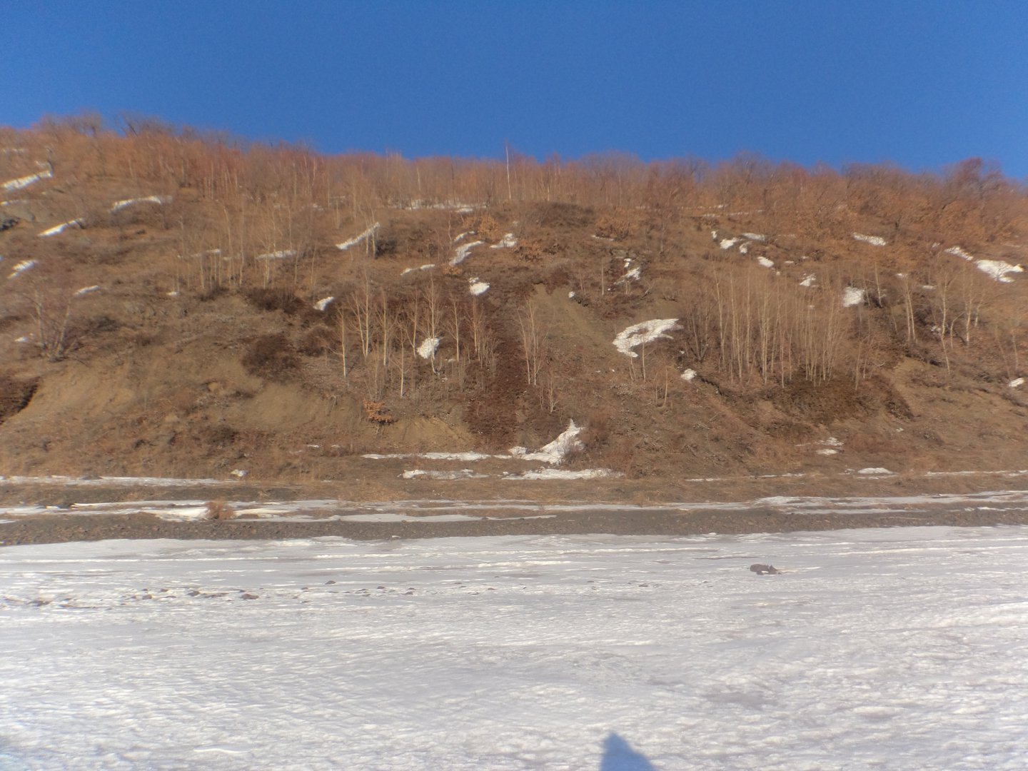 DSC08410.JPG