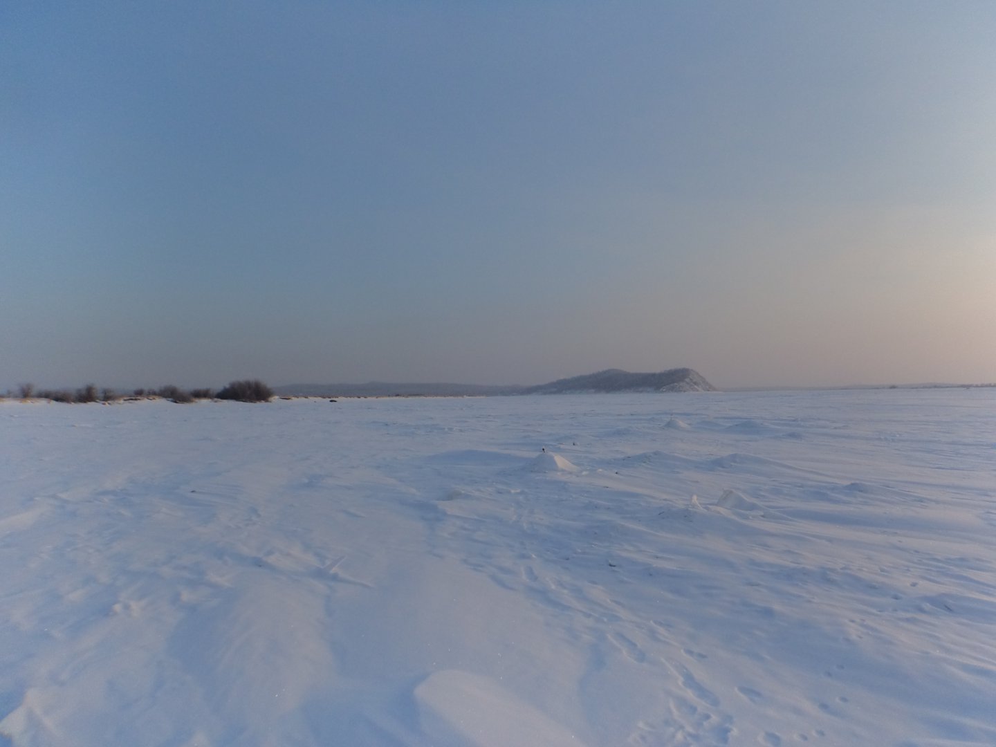 DSC08451.JPG