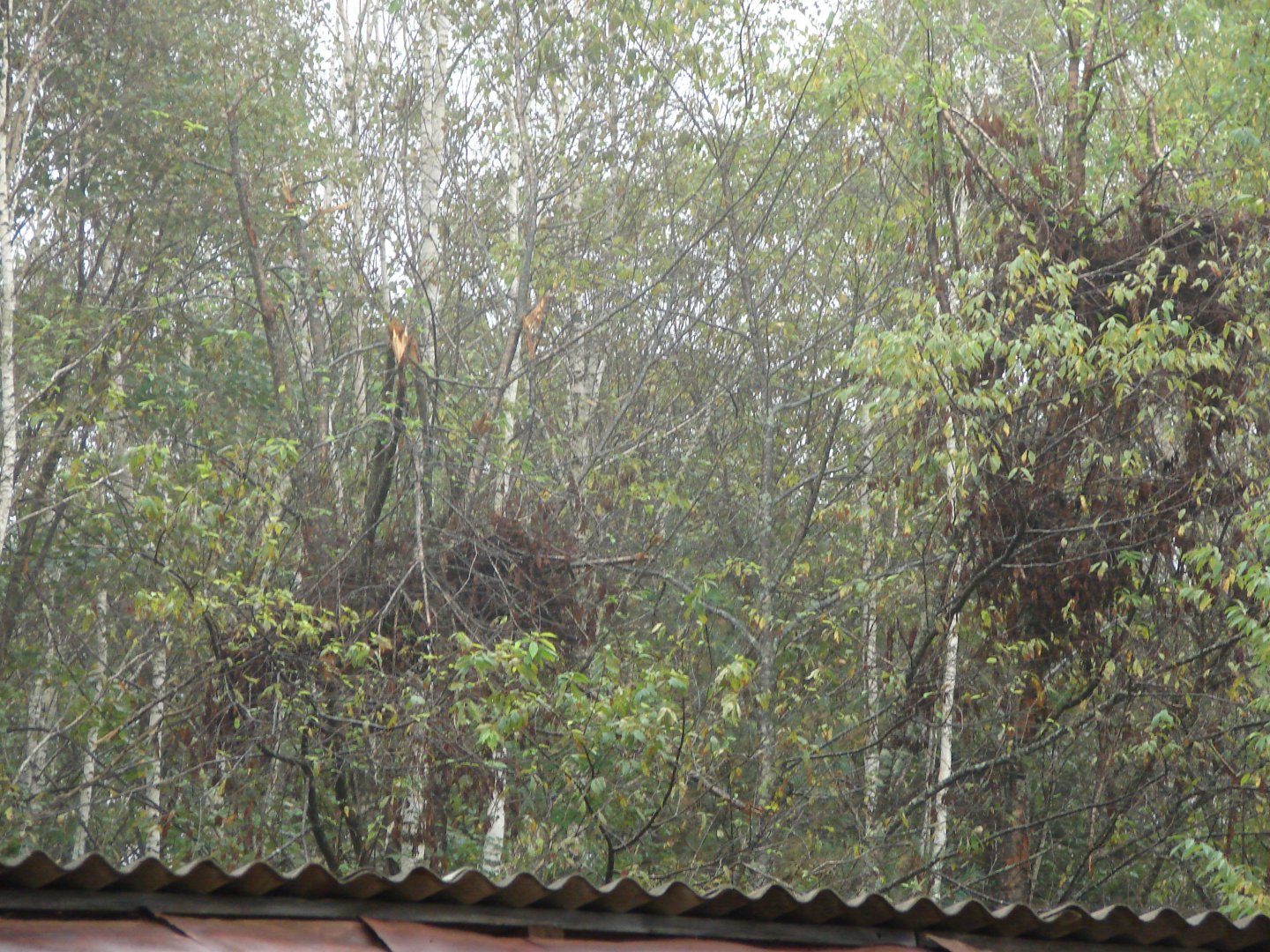 DSC08458.JPG
