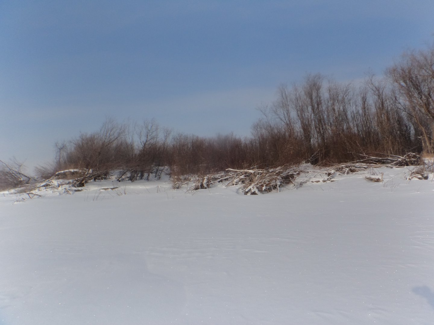 DSC08462.JPG