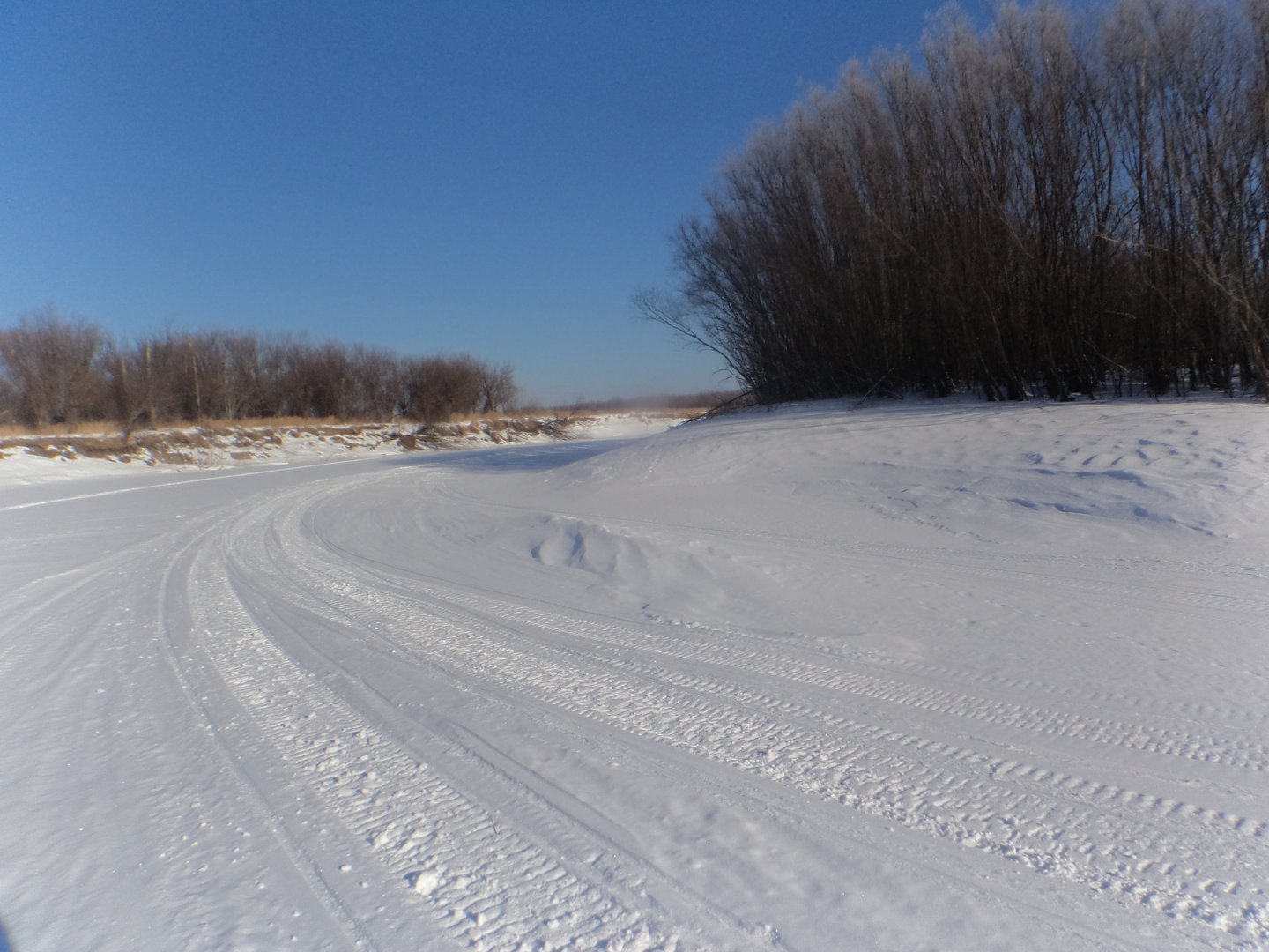 DSC08489.JPG
