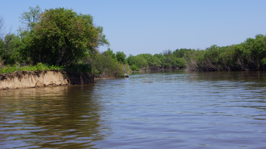 DSC08494 (1024x576).jpg