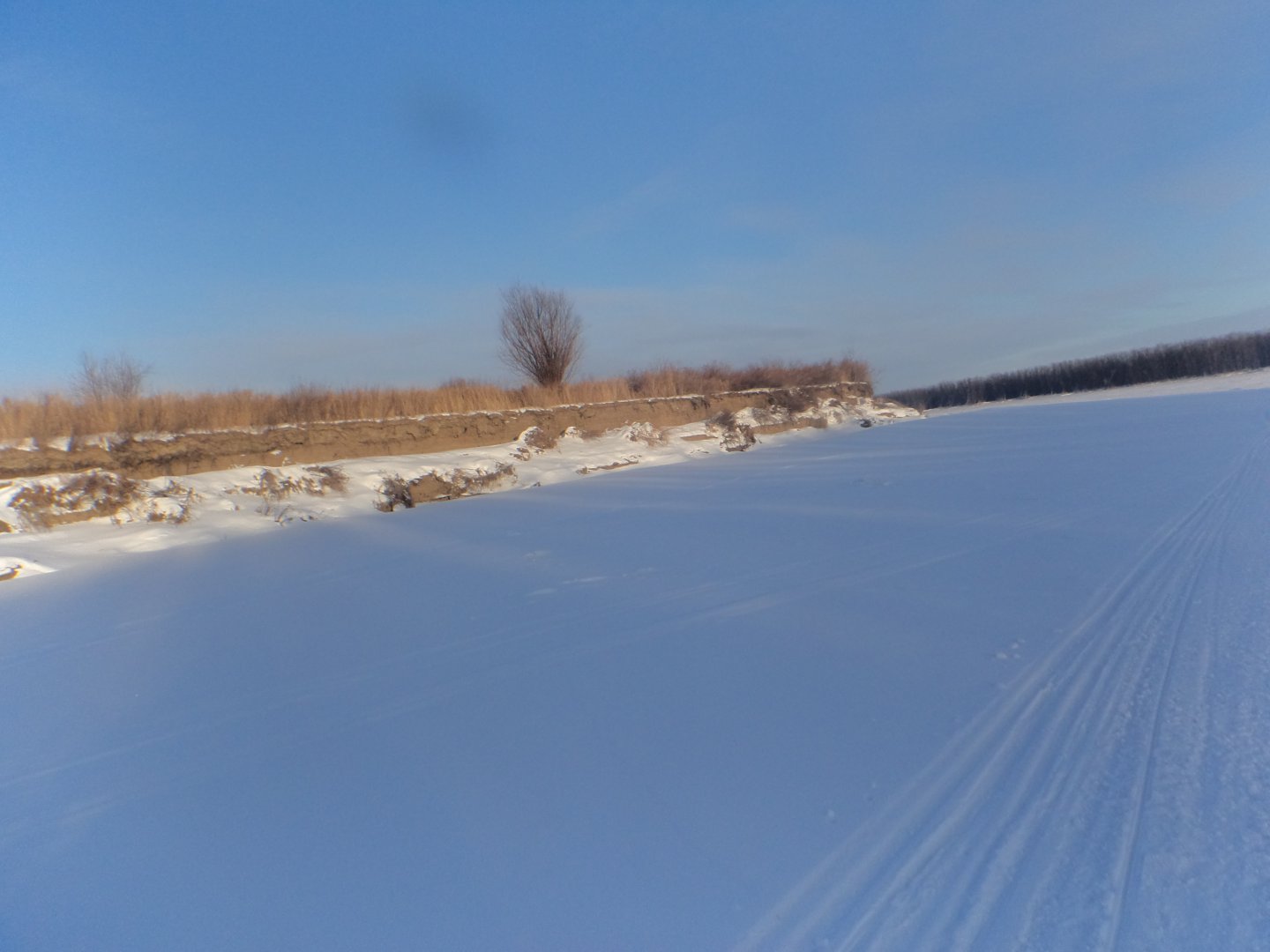 DSC08504.JPG