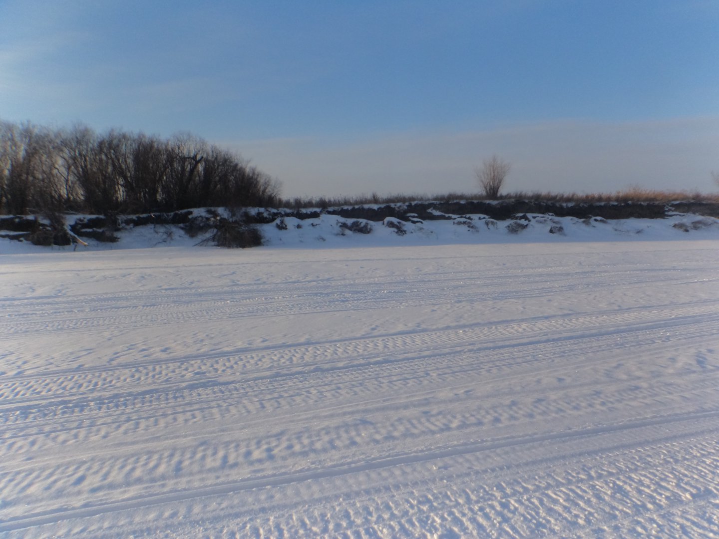 DSC08510.JPG