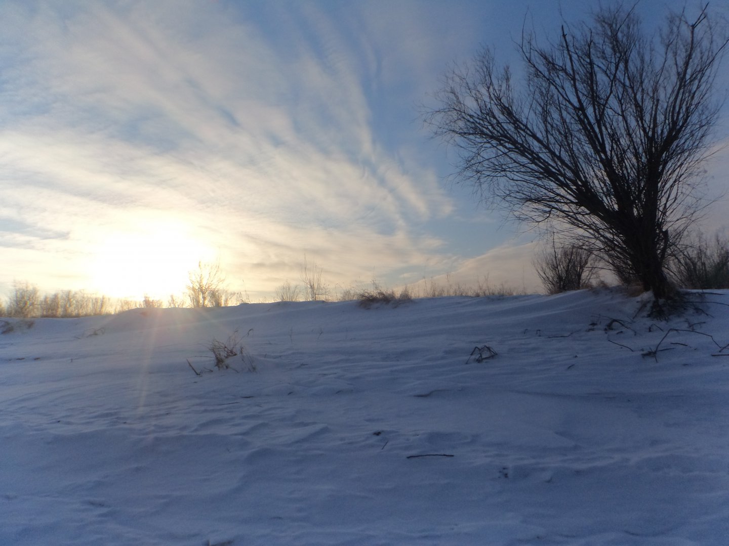 DSC08513.JPG