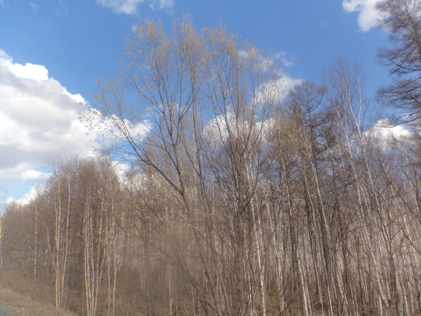 DSC08528.JPG