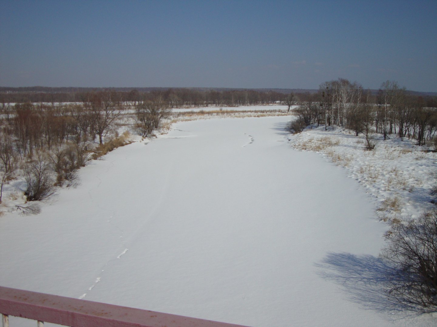 DSC08544.JPG
