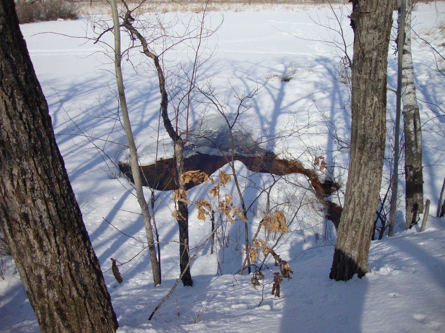 DSC08548.JPG