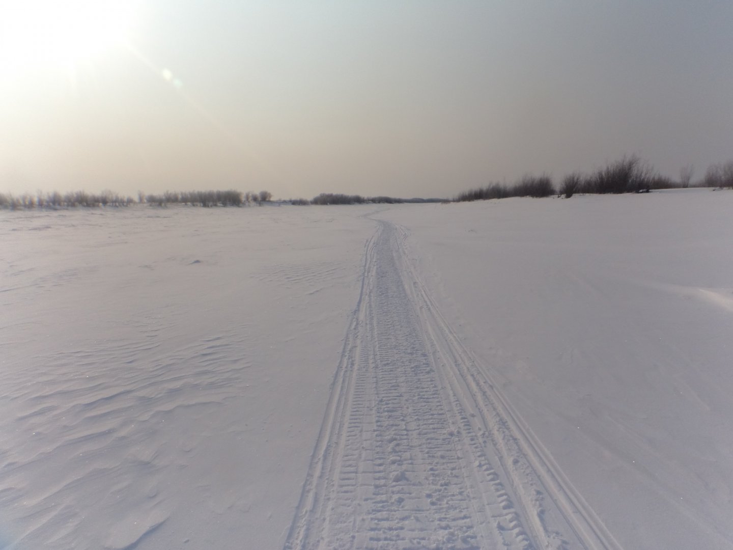 DSC08548.JPG
