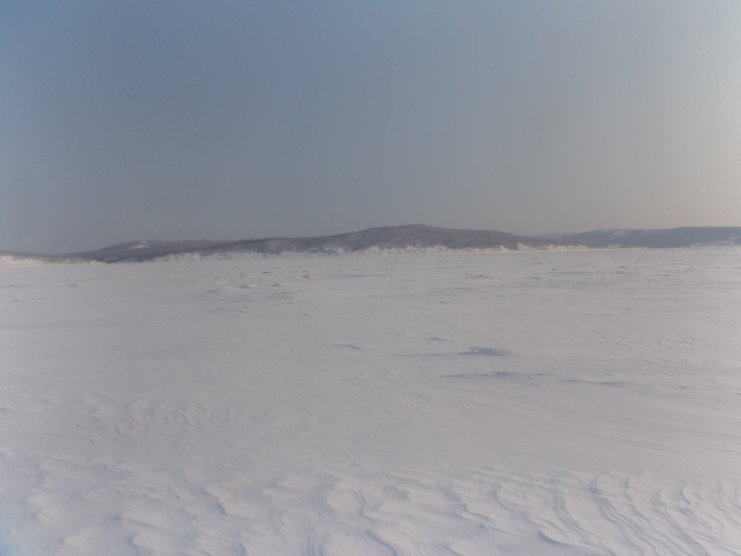 DSC08550.JPG