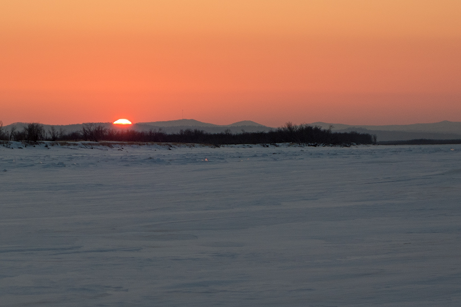DSC08550.jpg