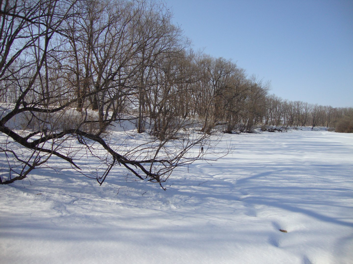 DSC08551.JPG