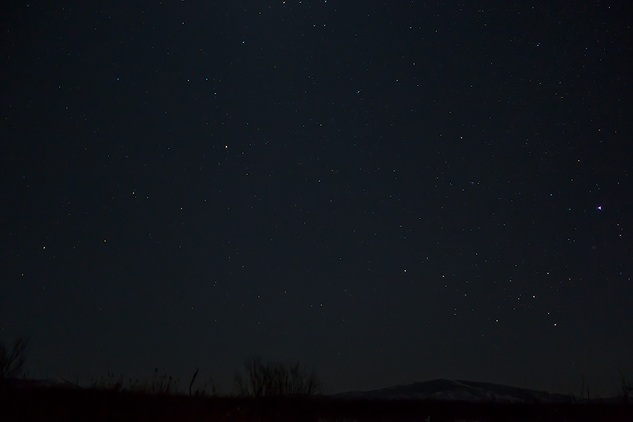 DSC08583.jpg