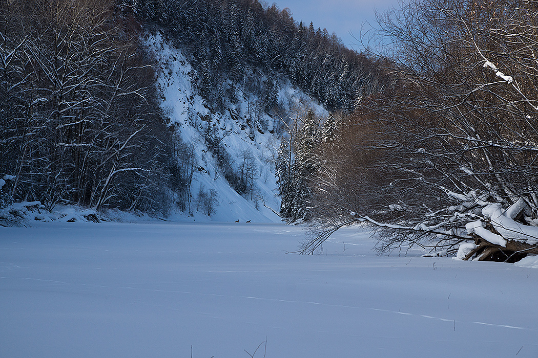 DSC08586.jpg