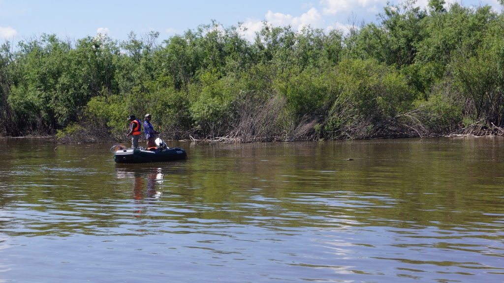 DSC08592 (1024x576).jpg