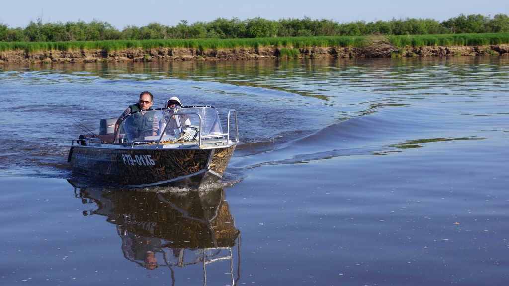 DSC08636 (1024x576).jpg