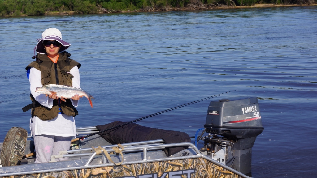 DSC08643 (1024x576).jpg