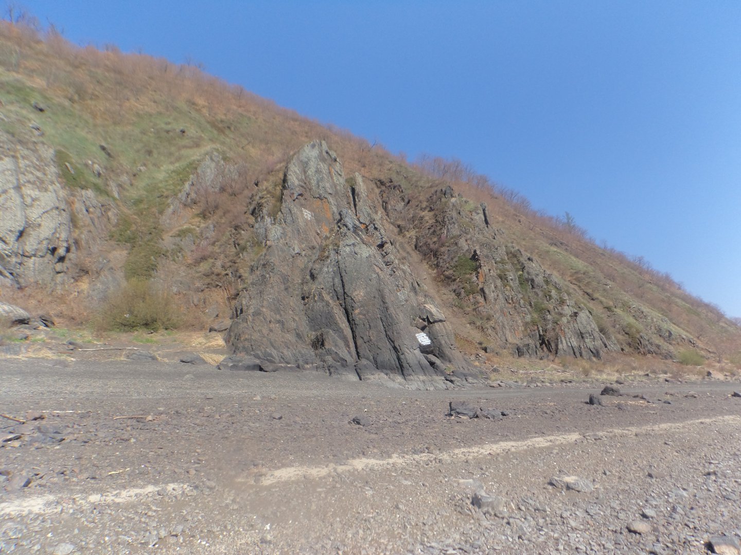 DSC08645.JPG