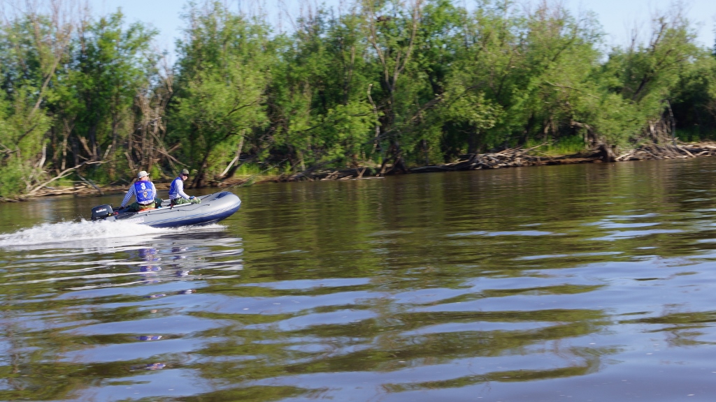 DSC08648 (1024x576).jpg