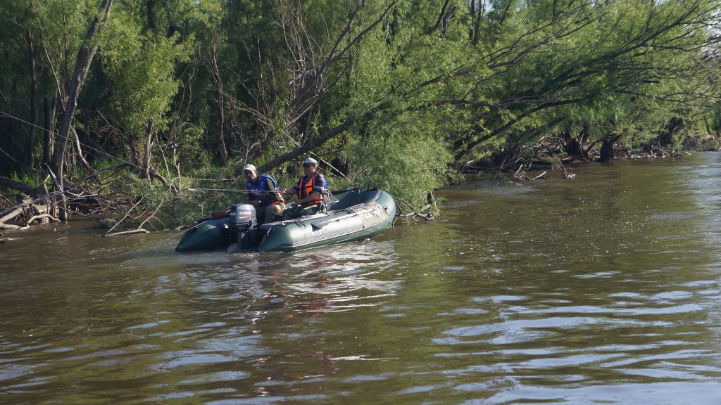 DSC08649 (1024x576).jpg