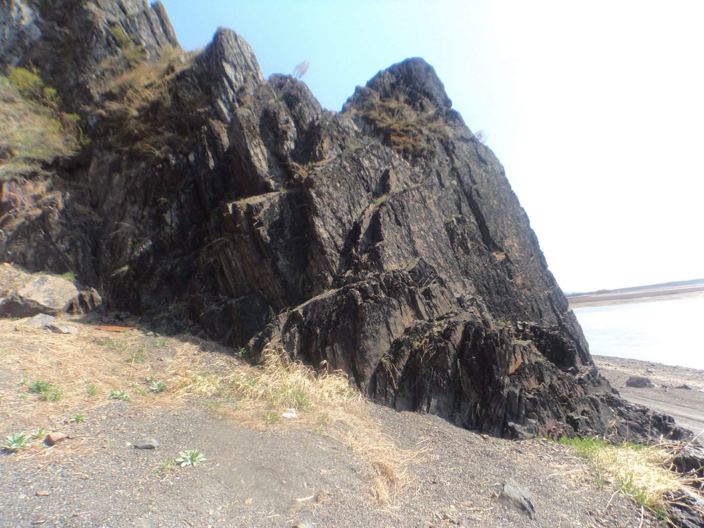 DSC08649.JPG