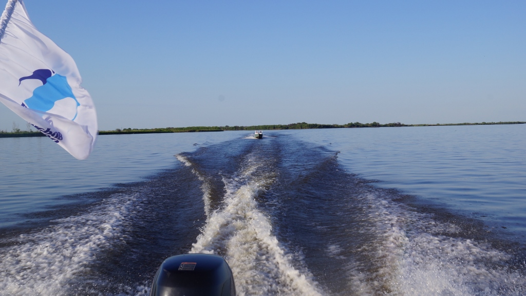 DSC08651 (1024x576).jpg