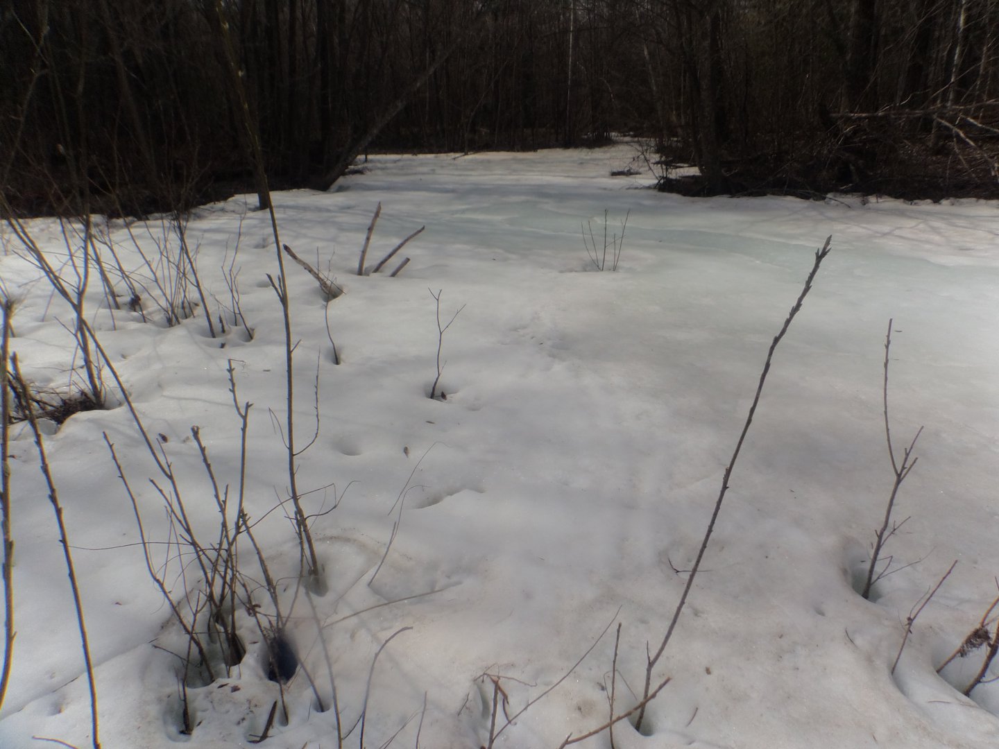 DSC08673.JPG