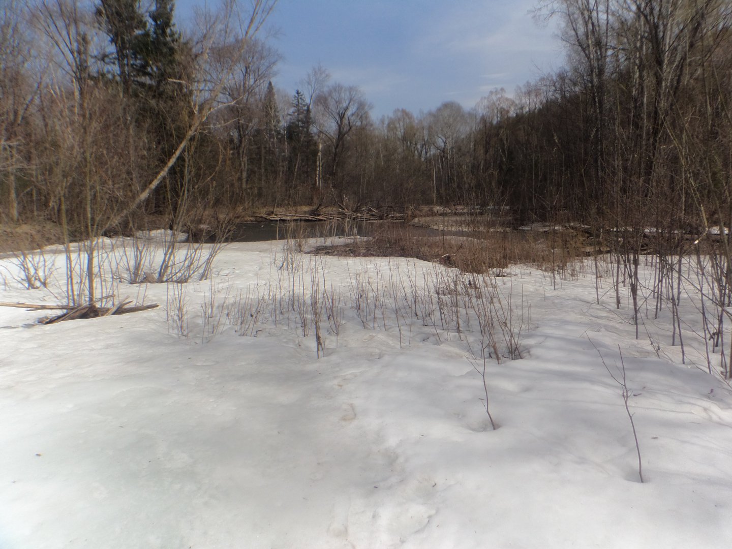 DSC08674.JPG