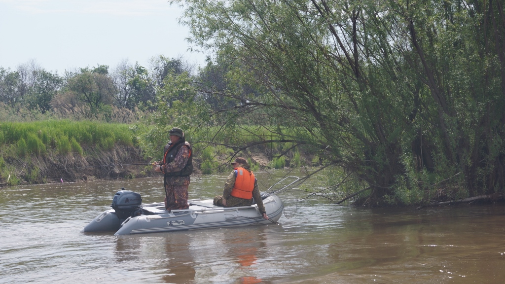 DSC08677 (1024x576).jpg