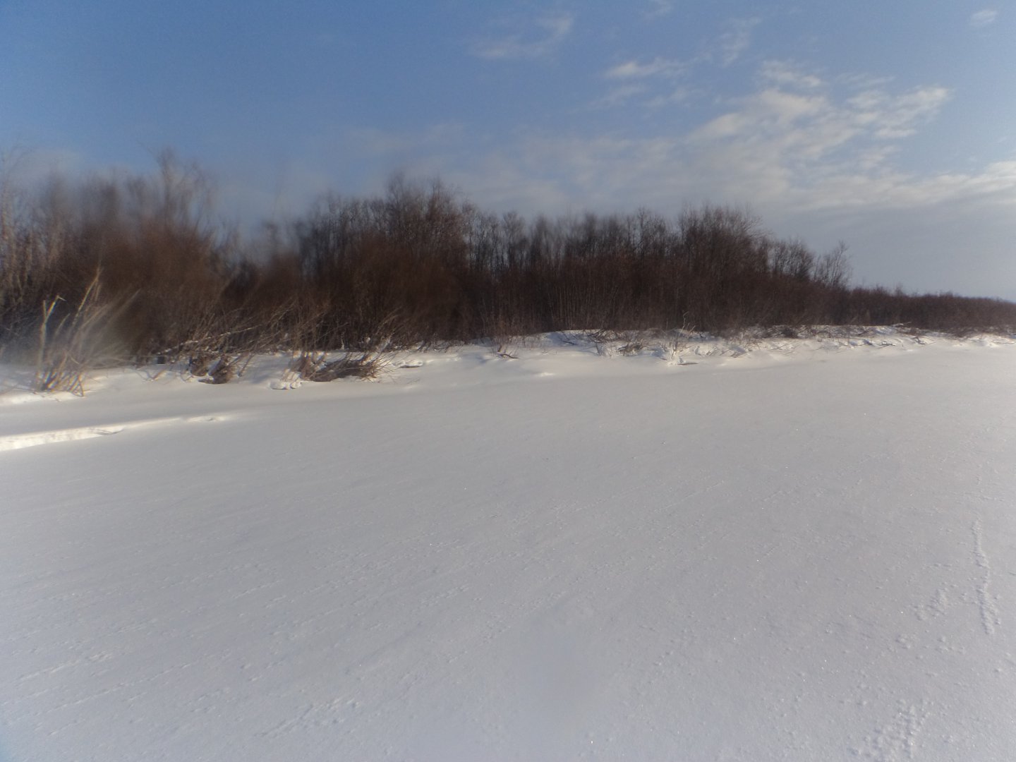 DSC08679.JPG