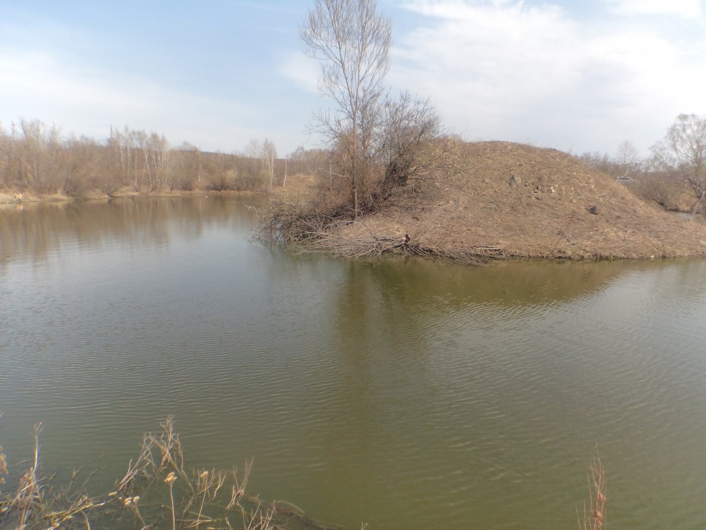 DSC08682.JPG