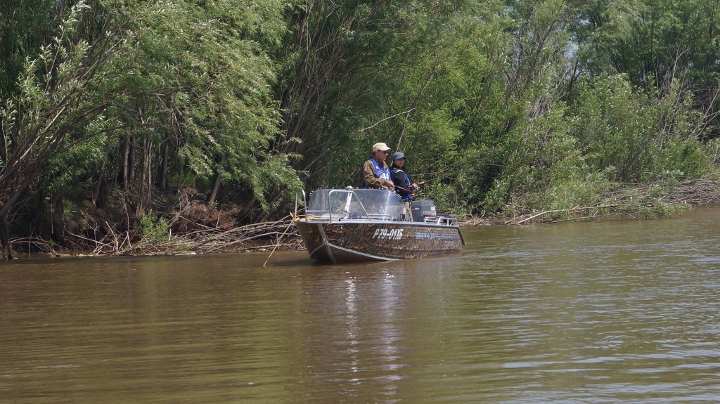 DSC08687 (1024x575).jpg