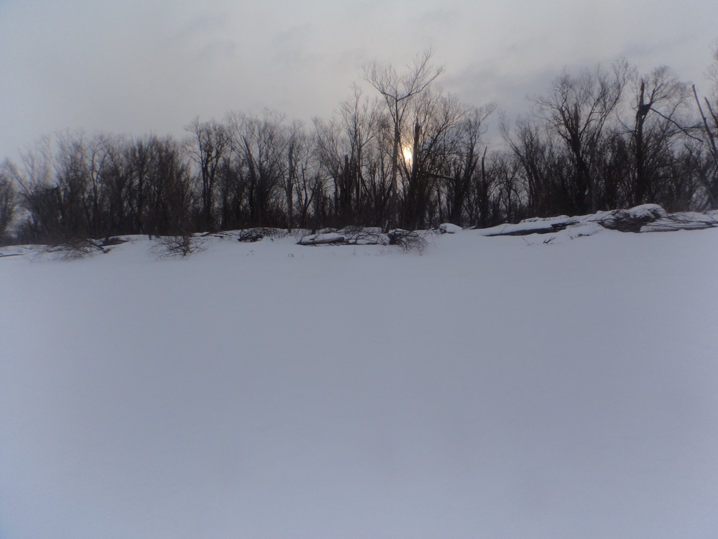 DSC08713.JPG