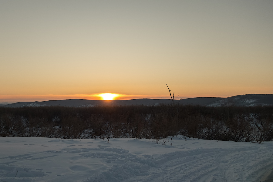 DSC08726.jpg