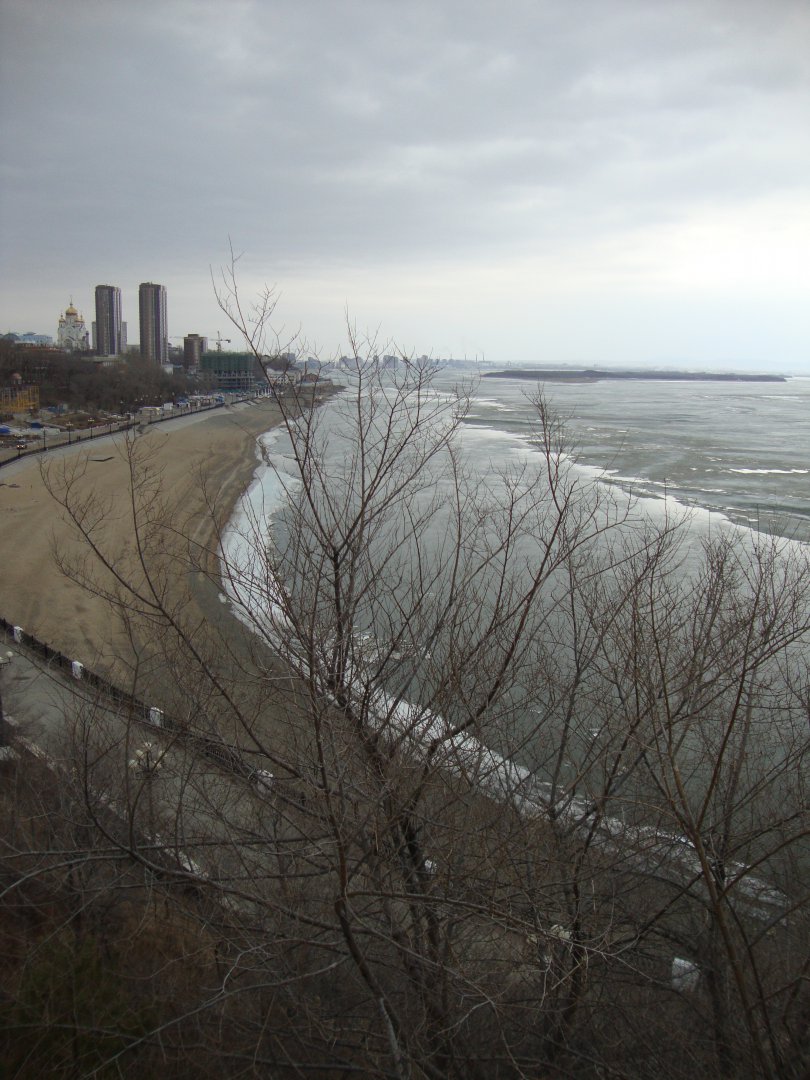 DSC08733.JPG