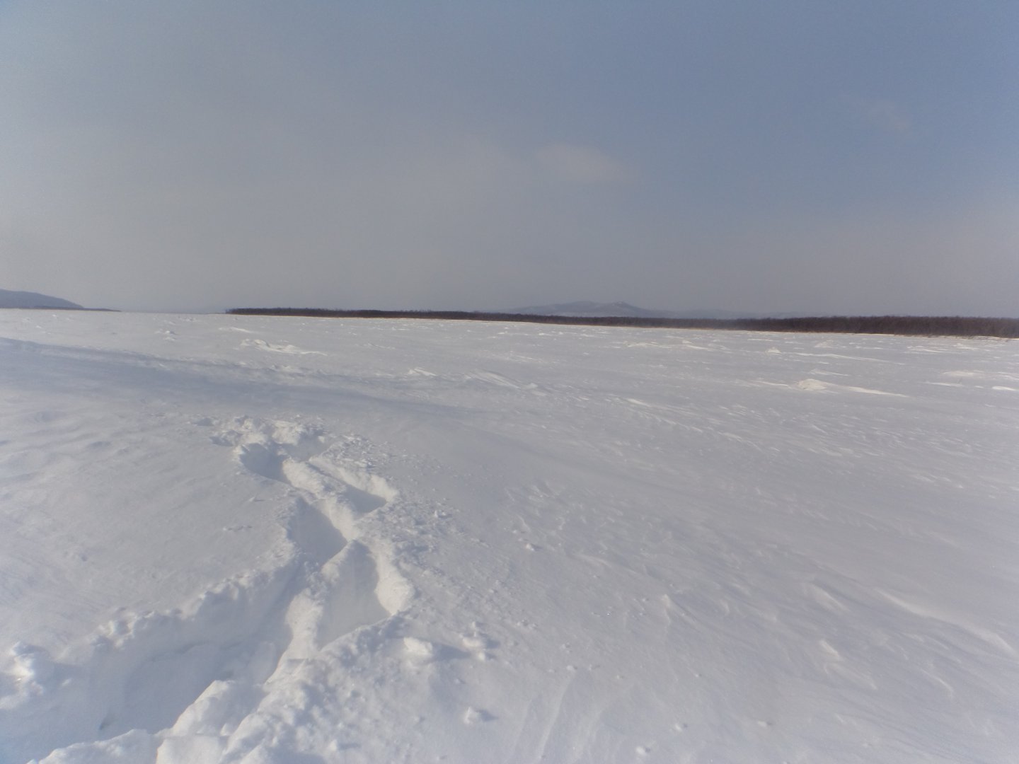 DSC08744.JPG