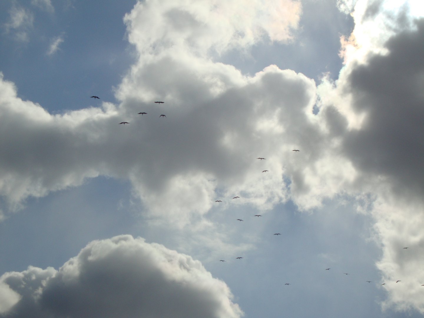 DSC08756.JPG
