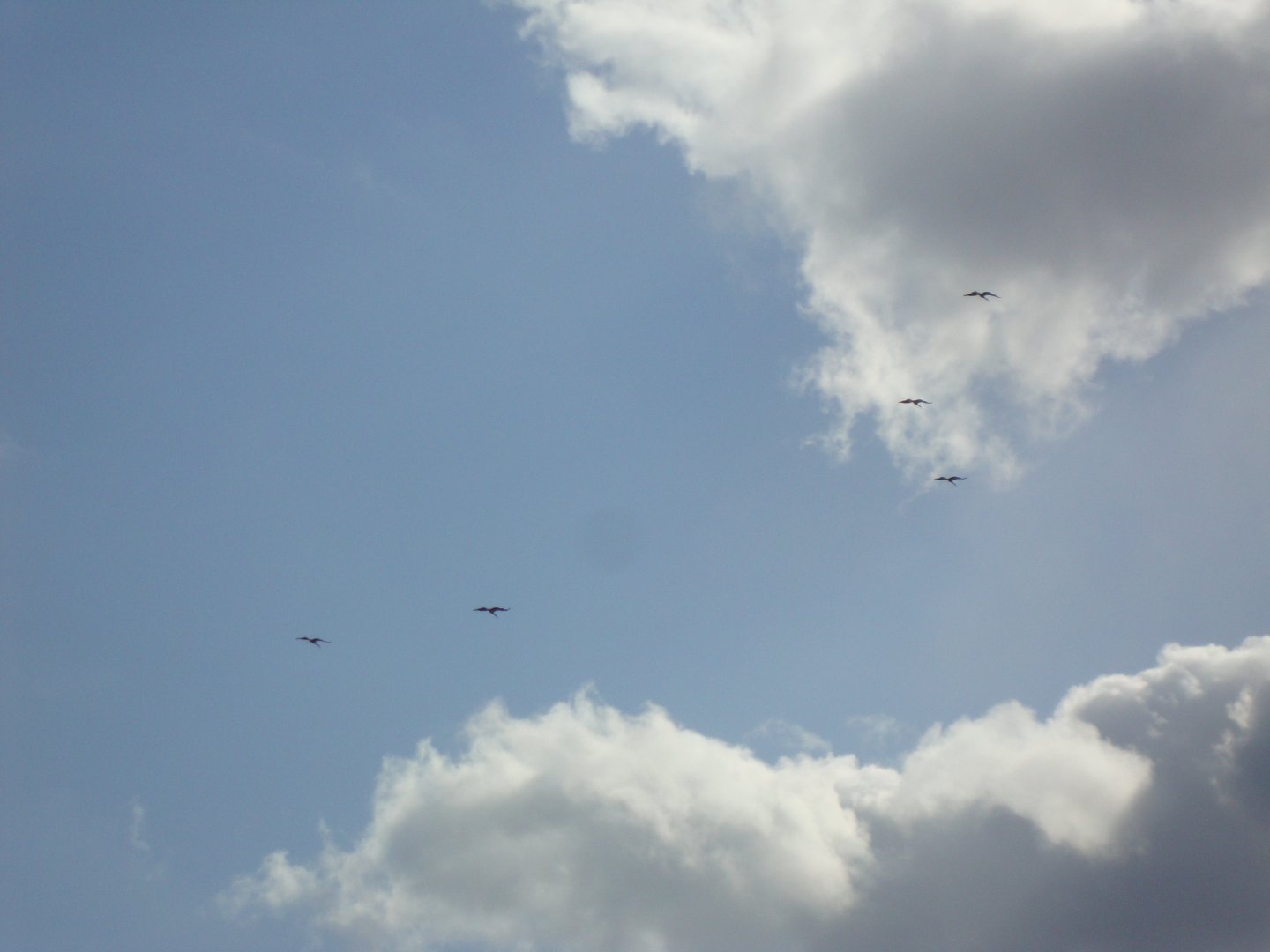 DSC08757.JPG